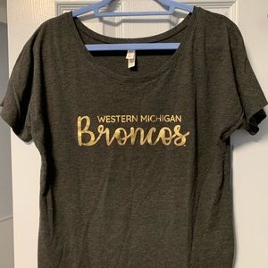 Western Michigan University Top